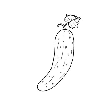 Beyaz arka planda renksiz siyah salatalık çizgisi. Dekorasyon için uygun, tasarım unsuru olarak, menüler, broşürler, kartpostallar, posterler, reklamlar, sunumlar