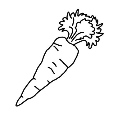 Siyah çizgili, renksiz bir havuç çizimi, beyaz arka planda. Dekorasyon için uygun, tasarım unsuru olarak, menüler, broşürler, kartpostallar, posterler, reklamlar, sunumlar