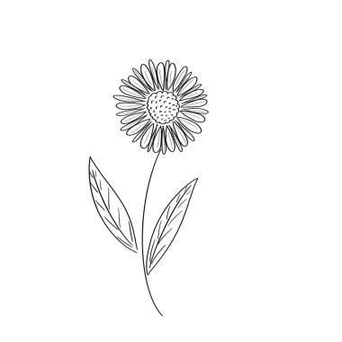 El yazısıyla dekoratif tasarım öğesi, beyaz arka planda el yapımı karalamalar. Siyah çizgili bir çizim. Temamız yaz çiçekli baskılar. Dekorasyon tasarımı süsü