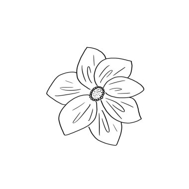 El yazısıyla dekoratif tasarım öğesi, beyaz arka planda el yapımı karalamalar. Siyah çizgili bir çizim. Temamız yaz çiçekli baskılar. Dekorasyon tasarımı süsü