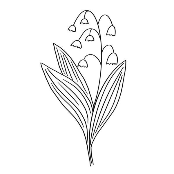 白を基調としたファッショナブルな形で手作業で作られた手書きの装飾的なデザイン要素 黒い線のスケッチ テーマは夏の花のプリント 装飾デザイン装飾 — ストック写真