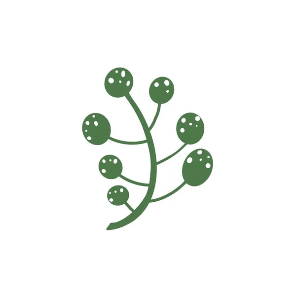 Rysunek Jednej Zielonej Gałęzi Kilku Okrągłych Liści Białym Tle Minimalistyczna — Zdjęcie stockowe