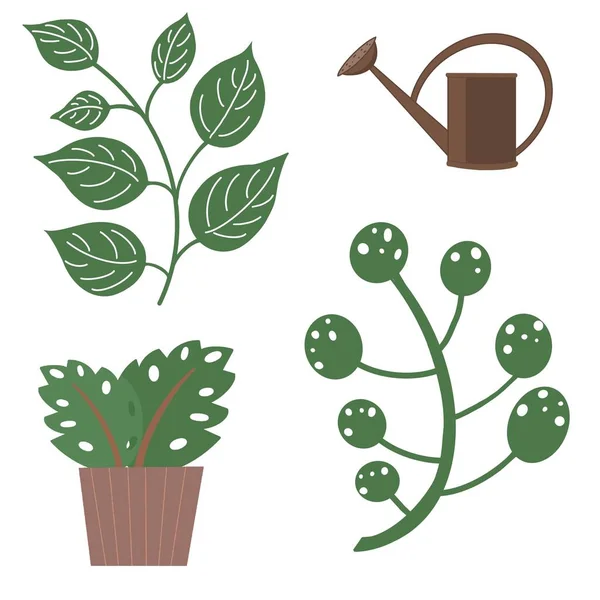 Conjunto Plantas Individuais Horticultura Impressões Objetos Ótimo Para Desenhar Tecidos — Fotografia de Stock