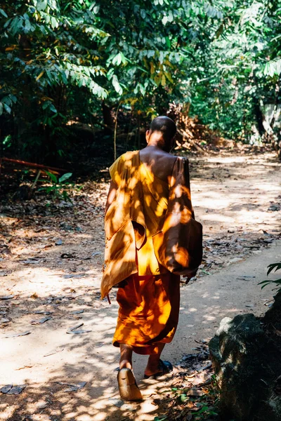 Buddhistischer Mönch wandert durch den Regenwald — Stockfoto