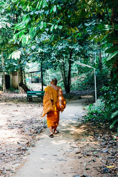熱帯雨林を歩く僧侶 — ストック写真
