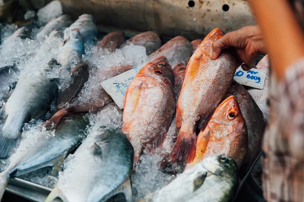 Femme achète des fruits de mer au marché local — Photo