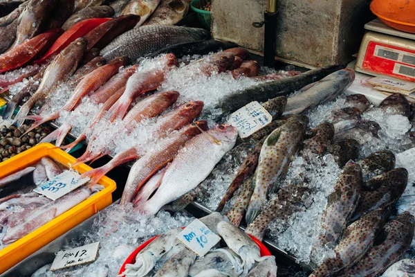 Poisson frais au marché aux poissons — Photo
