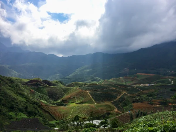 Beautiful rice terraces in Sa Pa — Stock Photo, Image