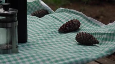 Rüzgarlı bir günde piknik yapmak zordur. Burada birkaç kozalak var. Piknik paspasını uçurmamak için birebir..