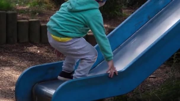 Uma Criança Sobe Corrediça Playground Floresta — Vídeo de Stock