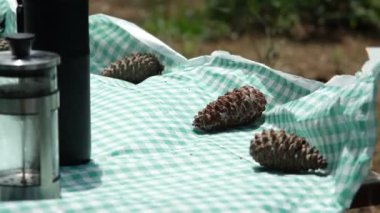 Bulutlu bir günde piknik