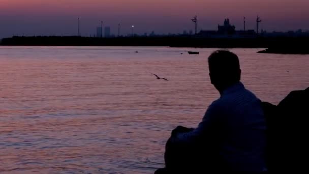 Siluetti mies katselee auringonlaskua ja meri ja lokki lentää yli meren — kuvapankkivideo