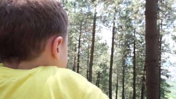 Niño observa el bosque, Niño observa el bosque por detrás, — Vídeos de Stock