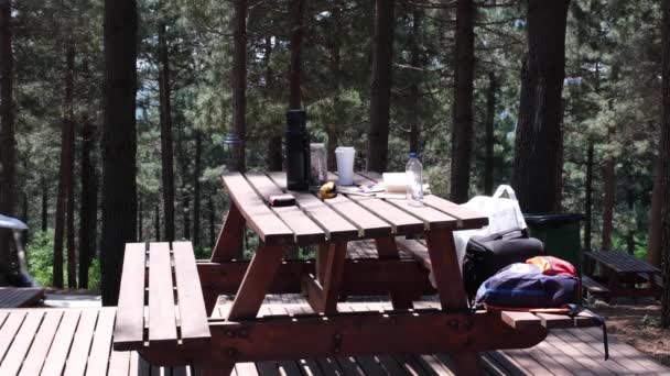 Uma arte de golfe passa atrás de uma mesa de piquenique na floresta — Vídeo de Stock