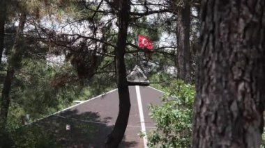 Kulübe ve bayrak, Türk bayrağı ormanda bir taraçanın üzerinde dalgalanıyor, kulübe