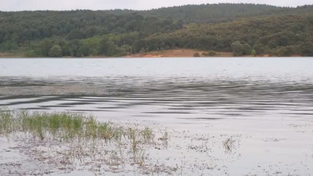 Jezero a hora, mírně zvlněné jezero a horská krajina, s trávou — Stock video