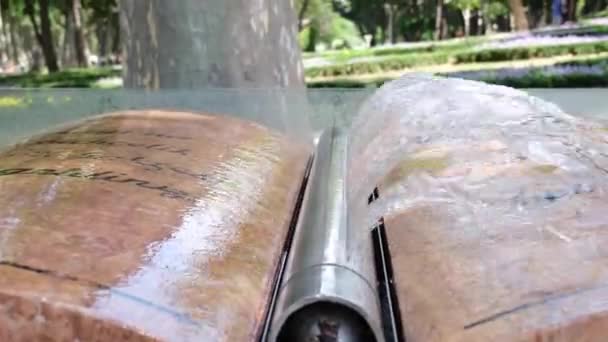 Fontaine, Une fontaine esthétique coule de droite à gauche, dans le parc — Video