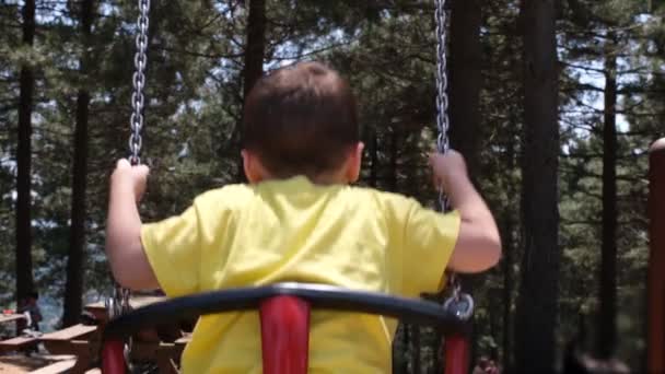 Altalena bambino, ragazzo caucasico oscilla su un'altalena, sulla foresta — Video Stock