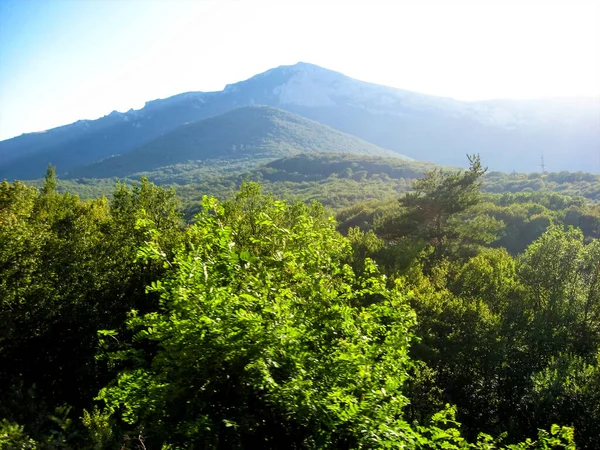 Πράσινα Βουνά Και Λόφοι Καλυμμένοι Δέντρα Μια Ηλιόλουστη Μέρα Καλοκαίρι — Φωτογραφία Αρχείου
