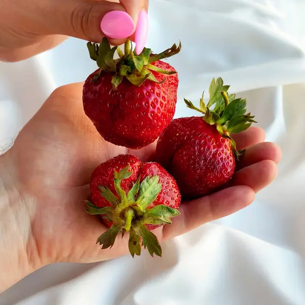 Frische Große Erdbeeren Der Hand Eines Mannes Die Hand Einer — Stockfoto