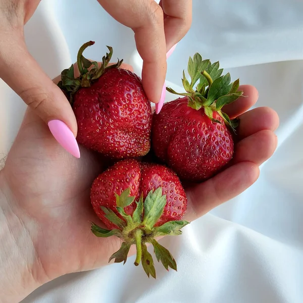Die Hand Einer Frau Nimmt Eine Große Erdbeere Von Der — Stockfoto