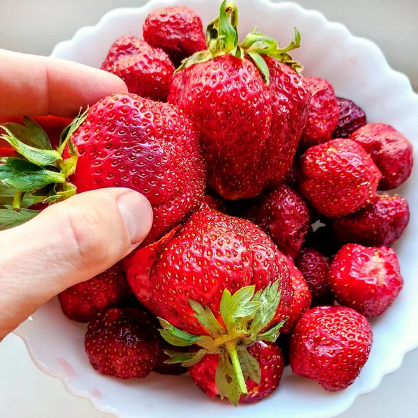 사람의 손에서 손가락으로 딸기를 접시에 — 스톡 사진