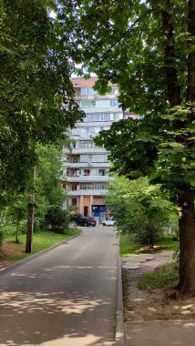 Bir yaprağın içinden yüksek bir binaya bakan küçük bir kasabada rahat bir cadde, eve bakan bir yaprak kemeri. 