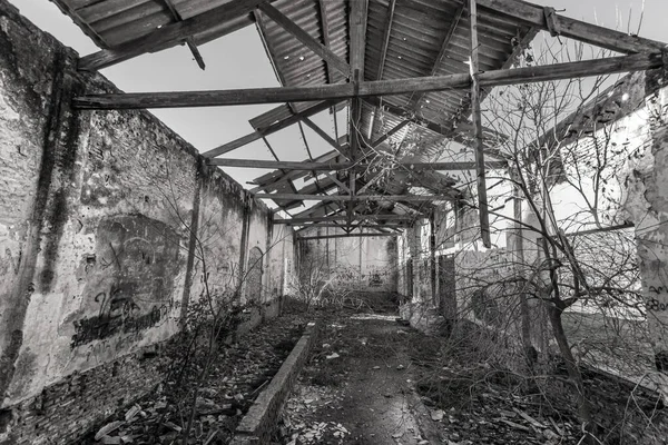 在阿根廷布宜诺斯艾利斯的一个封闭的火车站 被遗弃的火车在一个封闭的火车站 展示了过去的时光和只有部分屋顶的野生植被 — 图库照片