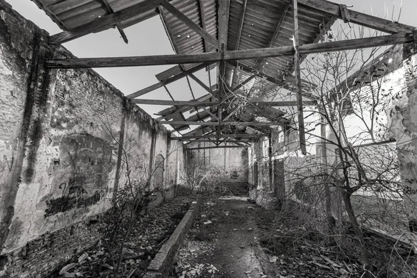 Trem Abandonado Galpão Uma Estação Trem Fechada Gmez Buenos Aires — Fotografia de Stock