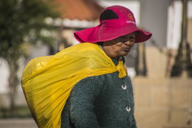 Tipik Güneyli Amerikan Puna 'lı yerli kadın. Güney Bolivya.