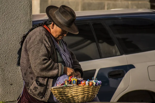 Tipik Güneyli Amerikan Puna Yerli Kadın Güney Bolivya — Stok fotoğraf