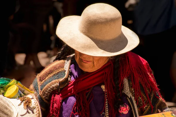 Tipik Güneyli Amerikan Puna Yerli Kadın Jujuy Arjantin — Stok fotoğraf