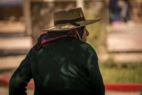 Typisk Infödd Kvinna Från Souht American Puna Jujuy Argentina — Stockfoto