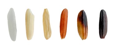 Beyaz arka planda bulunan çeşitli organik beyaz, kahverengi, kırmızı ve koyu mor pirinç tohumu çeşitleri