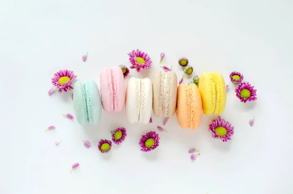 Grupo Pastel Macio Verde Rosa Branco Marrom Laranja Macaron Amarelo — Fotografia de Stock