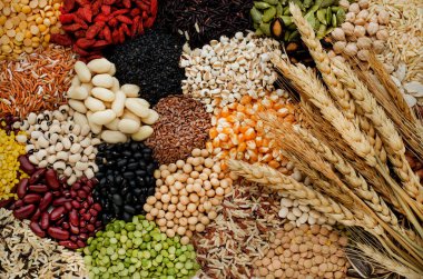 Sağlıklı ya da temiz gıda malzemeleri ya da tarımsal ürün konsepti için çeşitli organik mısır gevrekleri ve tahıl tohumları koyu tonda kuru buğday demetleriyle doludur.