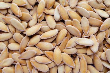 Kuru kavun tohumları arka planı