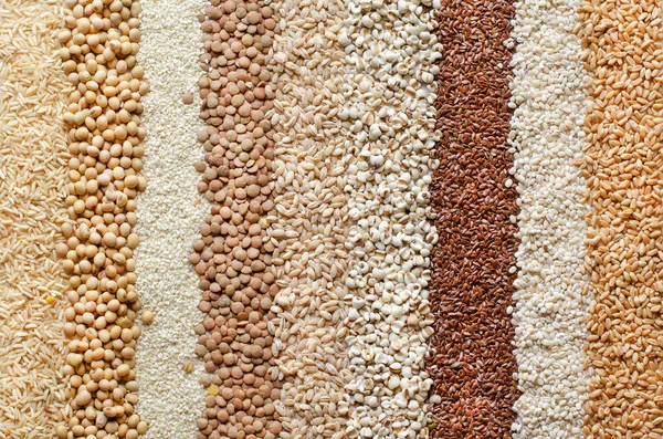 Colección Raya Seca Orgánica Cereales Blancos Marrones Semillas Grano Tono — Foto de Stock