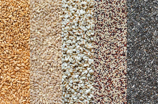 Orgaik Mısır Gevreği Tahıl Tohumu Şeridi Koleksiyonu Buğday Arpa Gözyaşı — Stok fotoğraf