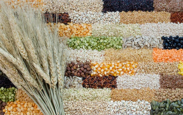 Paquete Espiga Trigo Seco Poner Variedades Cereales Naturales Semillas Grano — Foto de Stock