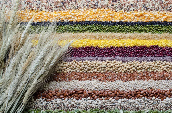 Paquete Espiga Trigo Orgánico Seco Variedades Cereales Naturales Fondo Raya — Foto de Stock