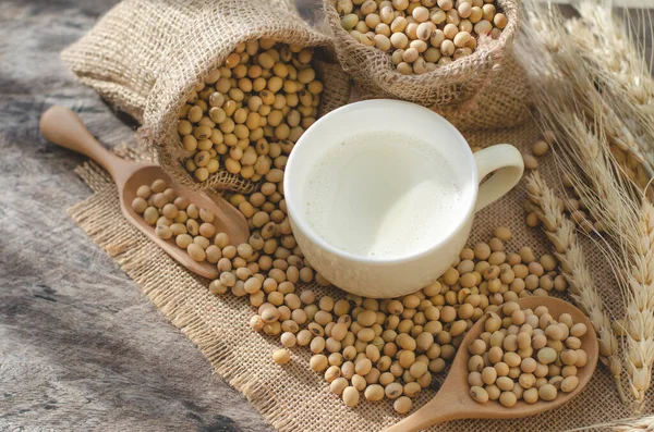 Home Made Delicious Soybean Milk Soft Yellow Cup Dry Soybean — Stock Photo, Image