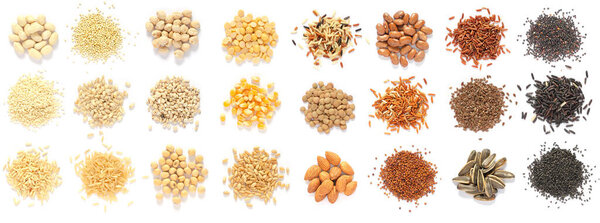 Collection of white, light, and dark brown cereal and grain seed pile on white background, for healthy or clean food ingredient or agricultural product concept