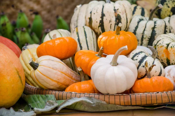 Gesloten Vers Pompoenfruit Oogst Boerderij — Stockfoto