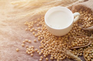 Ev yapımı lezzetli soya sütü yumuşak sarı fincanda, çuvalda kuru soya tohumu ve sabah ışığında grunge arka planda ahşap kaşık sağlıklı yiyecek konsepti için.