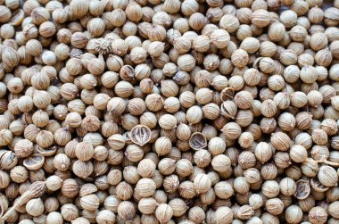 Yiyecek içeriği veya baharat konsepti için kuru organik kişniş tohumu arka planının üst görünümü