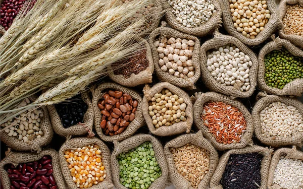 Δέσμη Ξηρού Βιολογικού Αυτιού Σιταριού Διάφορα Είδη Φυσικών Δημητριακών Και — Φωτογραφία Αρχείου