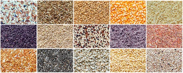 Recogida Cereales Orgánicos Secos Semillas Cereales Para Concepto Ingrediente Alimentario — Foto de Stock