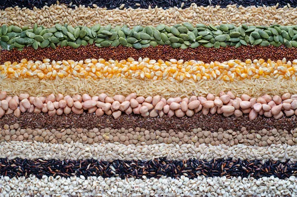 Tipos Variedad Cereales Naturales Fondo Raya Semilla Grano Para Ingredientes — Foto de Stock