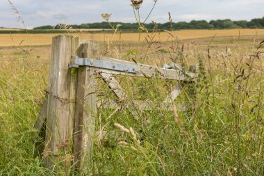 Bir tarlada çürümüş kırık bir kapı üzerinde